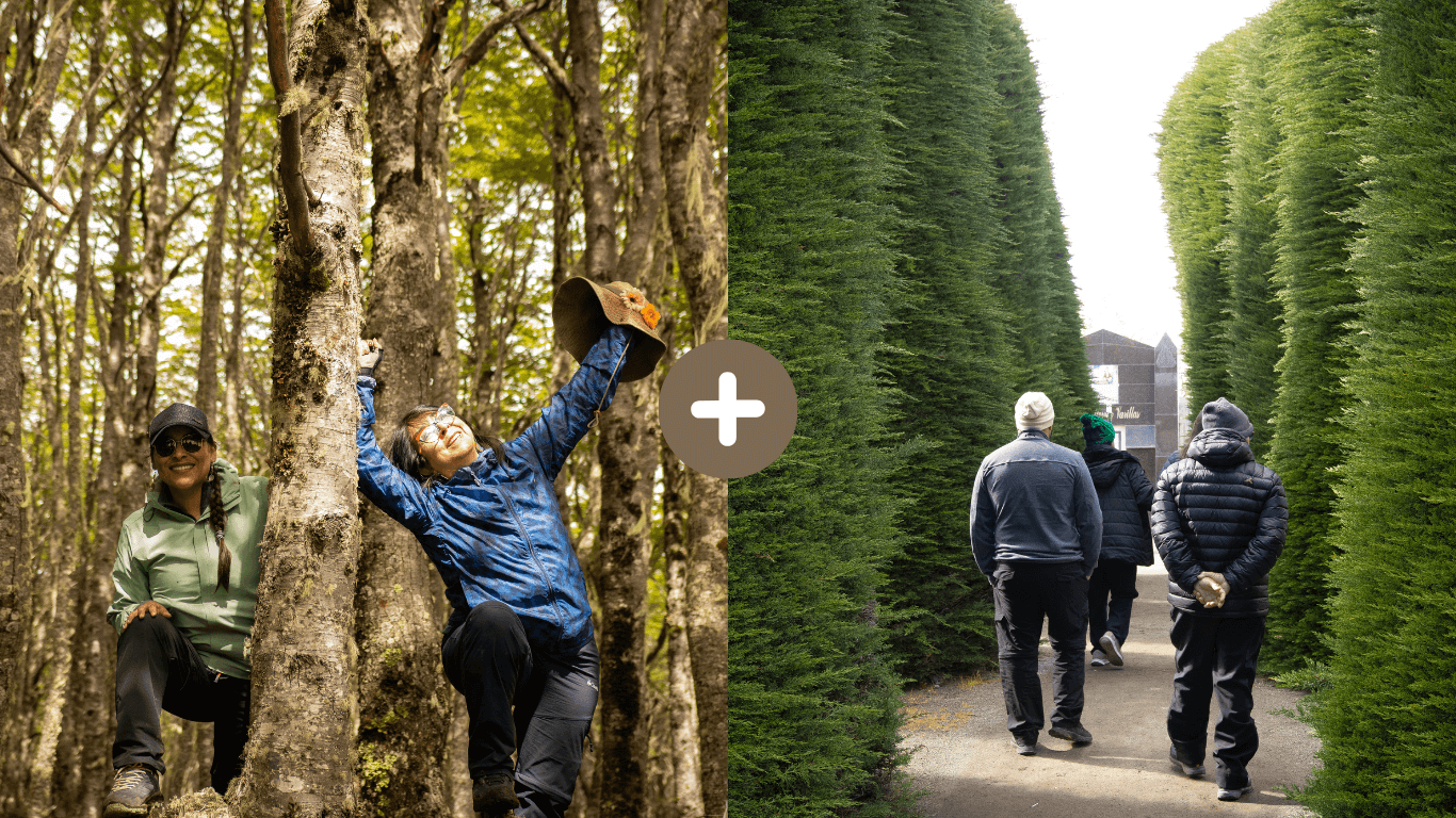 Faro San Isidro y Fuerte Bulnes