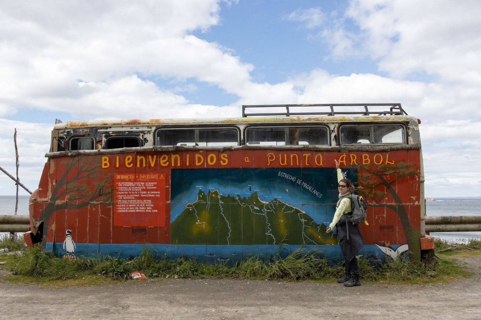 Road crossing the Patagonian steppe in the Magallanes Region