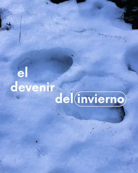 Recent Ruta Azul Patagonia Instagram post (1 of 4)