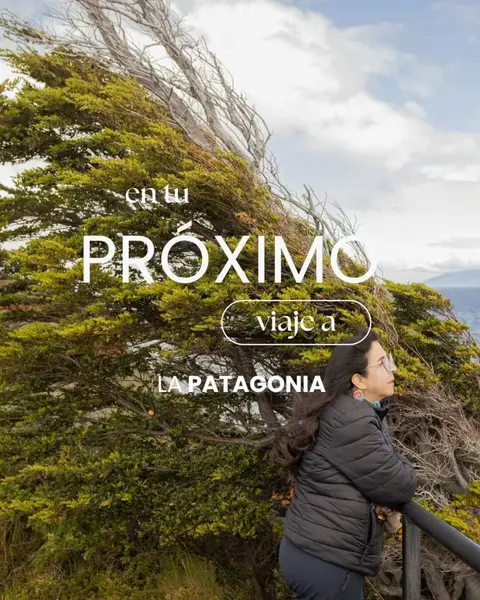 Recent Ruta Azul Patagonia Instagram post (2 of 4)